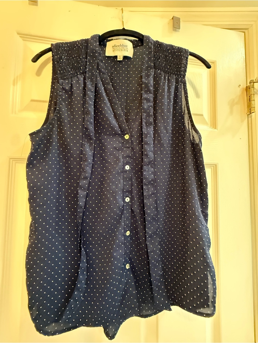Alice Blue Navy Polka Dot Sleeveless Button-Up Blouse